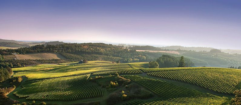 Oregon’s Sleepy Wine Country is Waking Up
