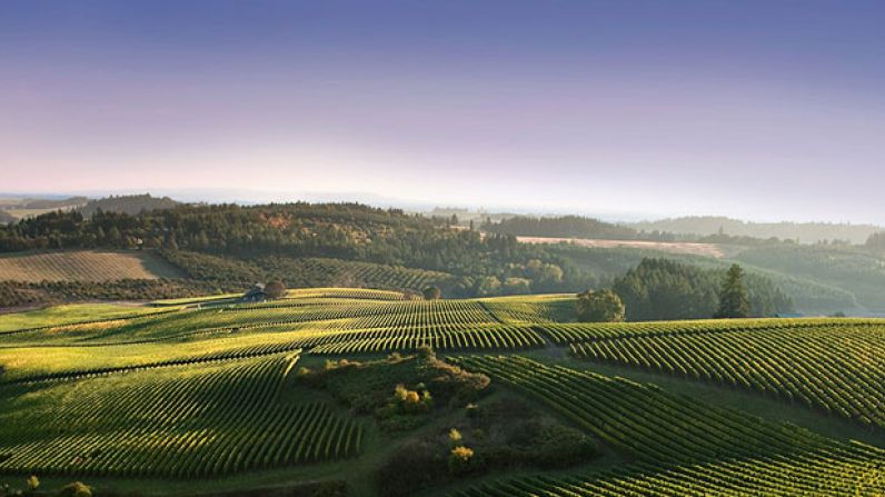 Oregon’s Sleepy Wine Country is Waking Up