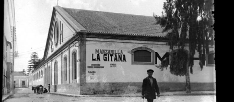HIDALGO LA GITANA. MANZANILLA AND SALT
