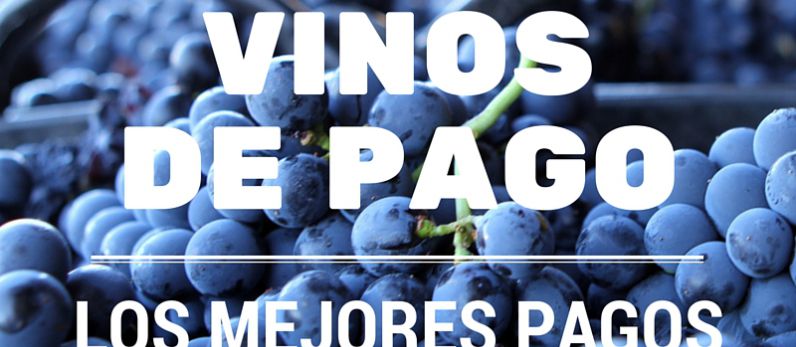 The best Single Estates of the Single Estate Wines