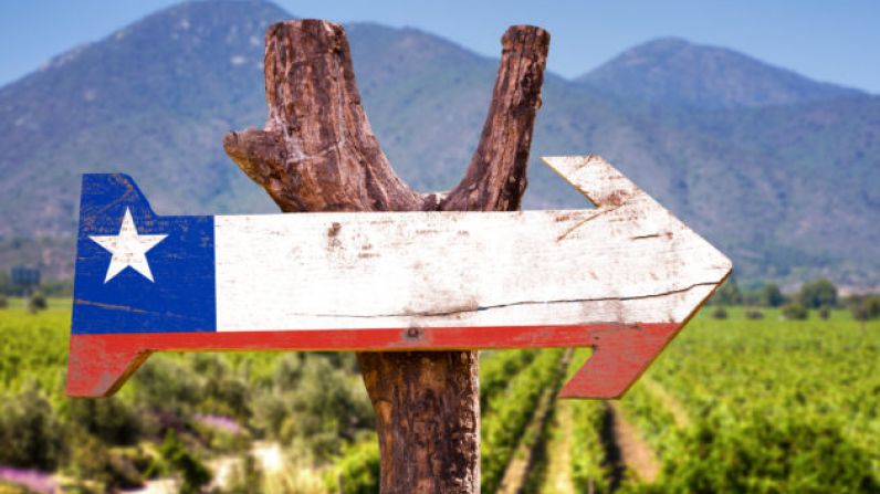 Chilean Wineries allowed to operate under Covid-19 lockdown