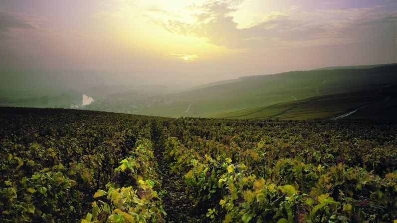 Wine Tourism in Champagne (Chapter 3)