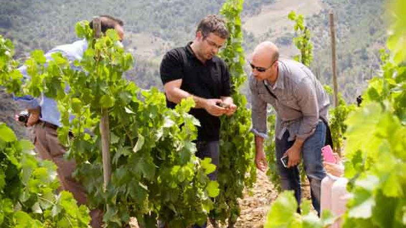 Bodegas Álvaro Palacios. A personal history of the Priorat