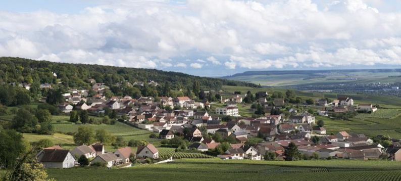 One of the fabulous views along the Côtes des Blancs route