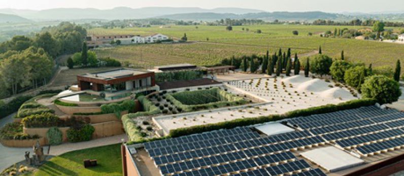 Familia Torres strengthens the application of solutions throughout the value chain to reduce its carbon footprint