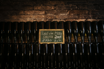 Cava bottles Turó d'en Mota, Recaredo