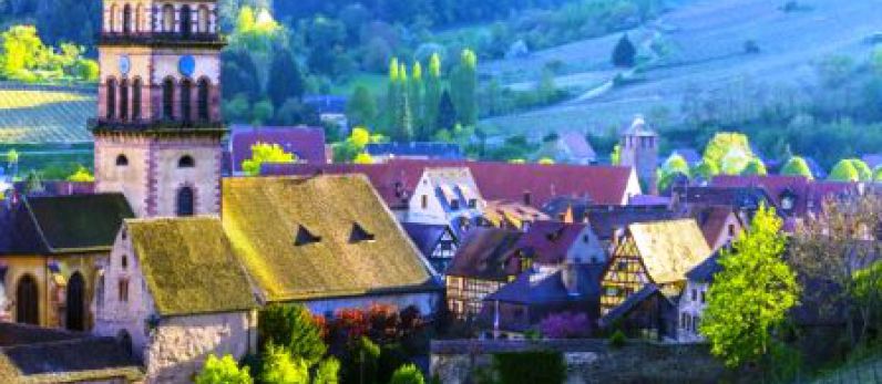 Pinot Noir given go ahead in two AOCs in Alsace