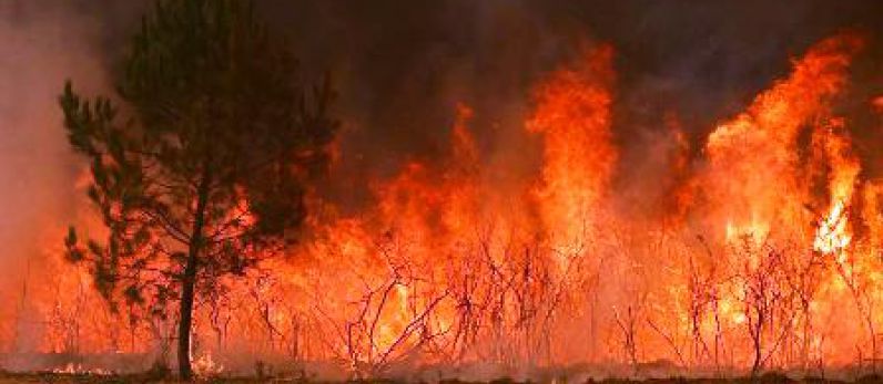 Wildfires threaten wineries as blaze nears Bordeaux.