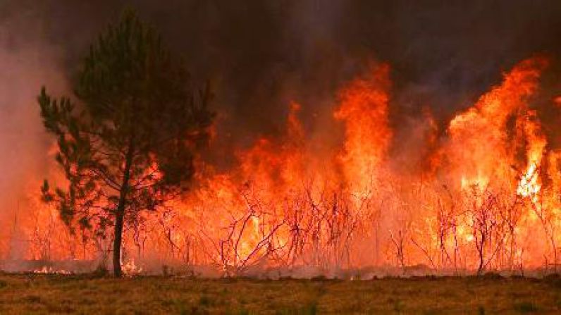 Wildfires threaten wineries as blaze nears Bordeaux.