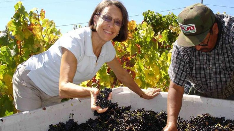 Marimar Torres at harvest time