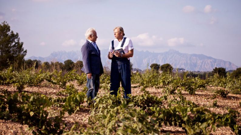 Jaume and Xavier represent the 5th generation to run the family winery