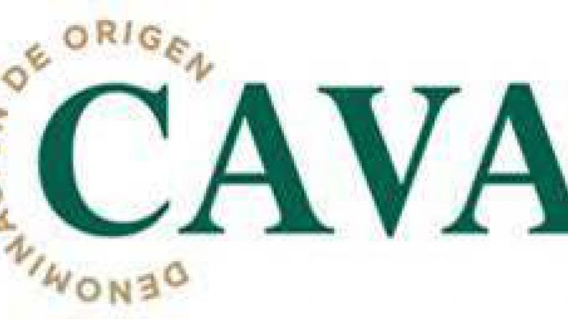 DO Cava focuses on origin and ensuring compliance with existing quality standards for the harvest within the context of the pandemic.