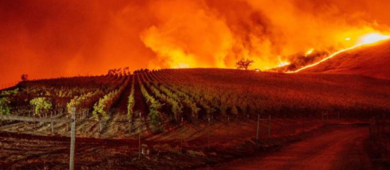 State of emergency declared in California Over Wildfire