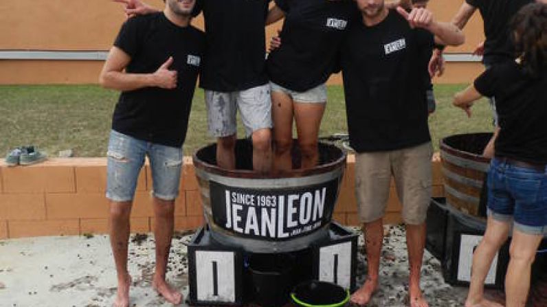 Un grupo de actores catalanes vendimian en Jean Leon