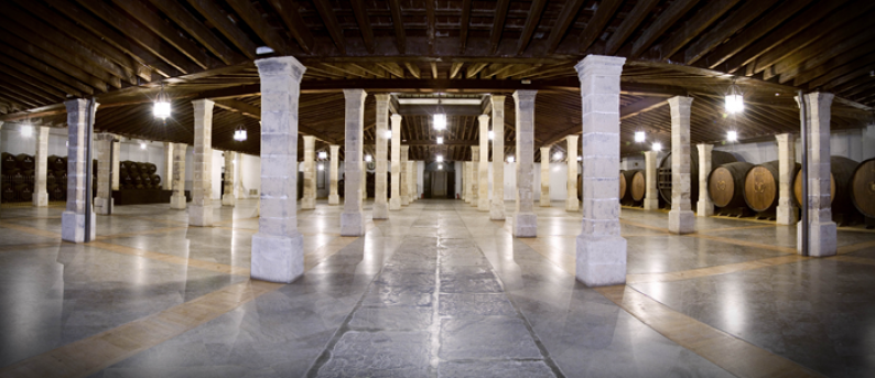 Espectacular imagen de la bodega Los Apóstoles soportada por 56 columnas