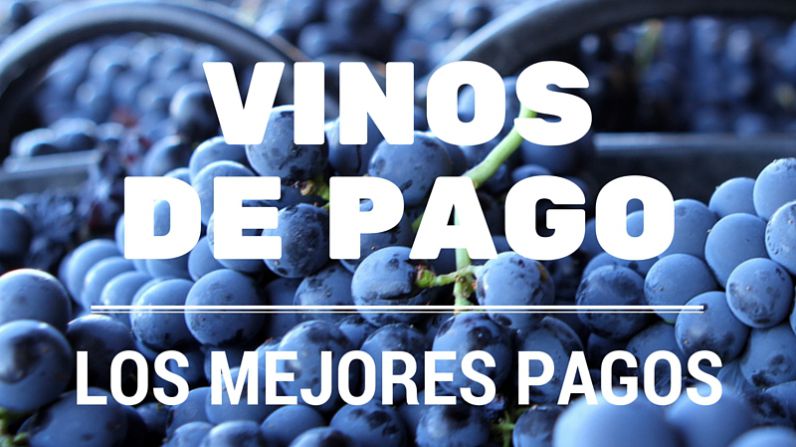 Los mejores Pagos de los vinos de Pago