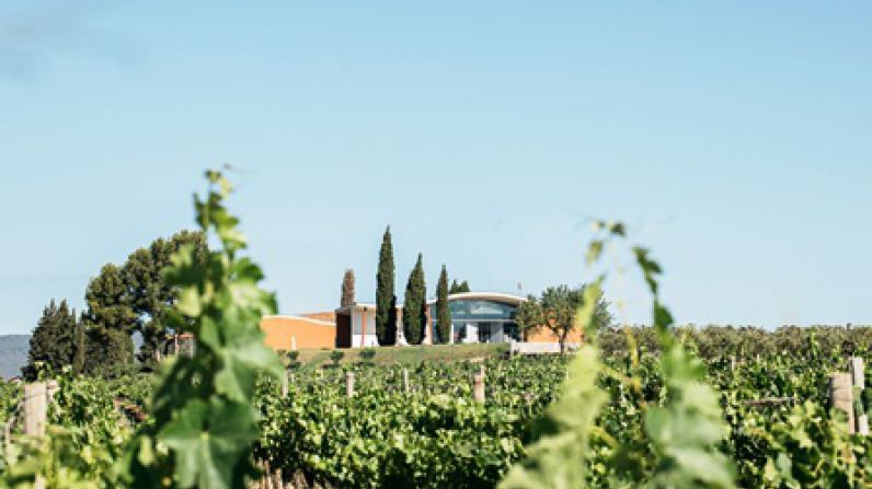Los Vinos de Finca de Jean Leon, premiados en Mundus Vini.