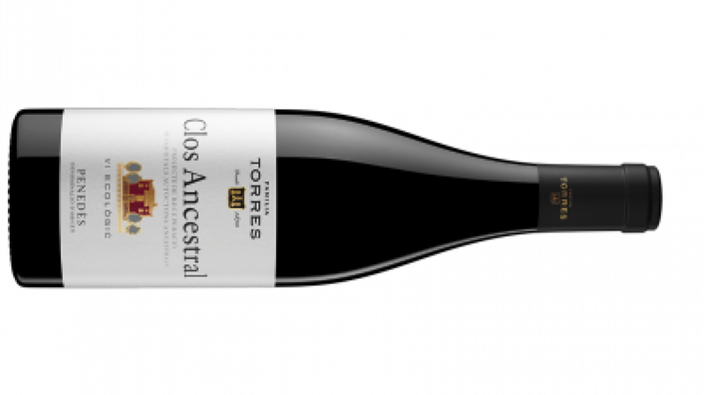 Familia Torres incorpora la variedad recuperada moneu en su nuevo vino Clos Ancestral 2019.