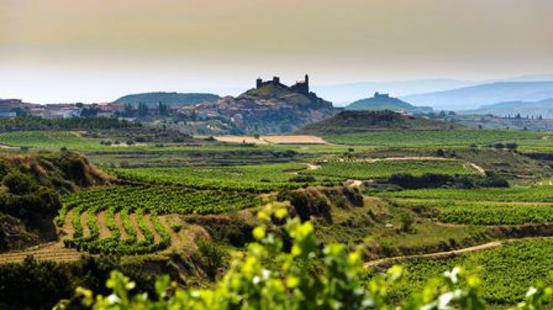 Malpastor y Las Pisadas reciben destacadas puntuaciones en el Rioja Report 2026 de Decanter.
