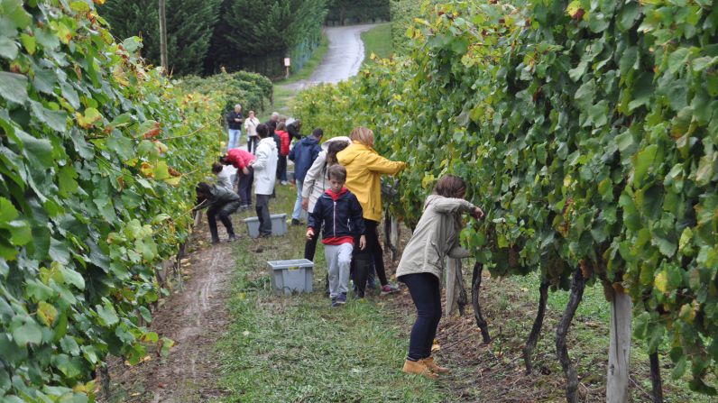 Una experiencia auténtica en la única bodega de Hondarribia