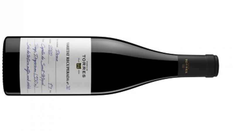 Pirene 2020, el nuevo vino ancestral de Familia Torres procedente del Prepirineo.