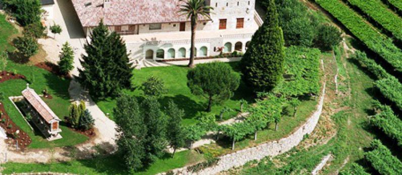 El ‘triángulo de oro’ de MASAVEU BODEGAS para una escapada enoturística en vendimia.