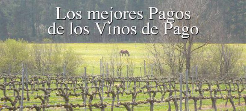 Vinos de Pago