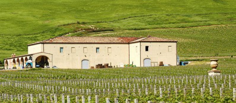 Tenuta di Trinoro. Apuesta de Futuro