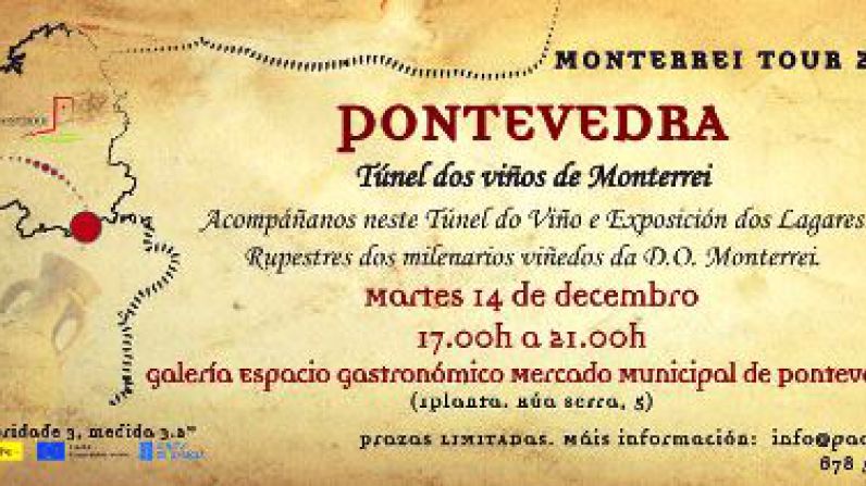 Pontevedra, última parada de los vinos de la D.O. Monterrei