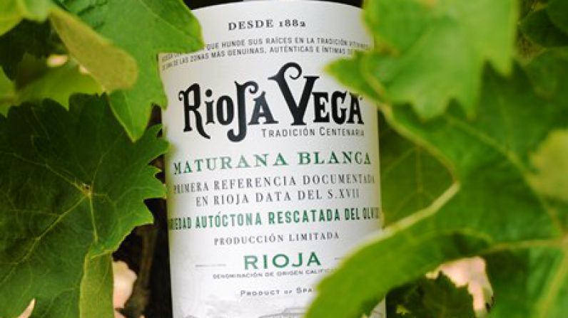 Rioja Vega reivindica la Maturana Blanca, origen de los blancos m&aacute;s singulares de Rioja.