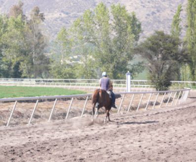 Hipódromo de Haras (Chile)