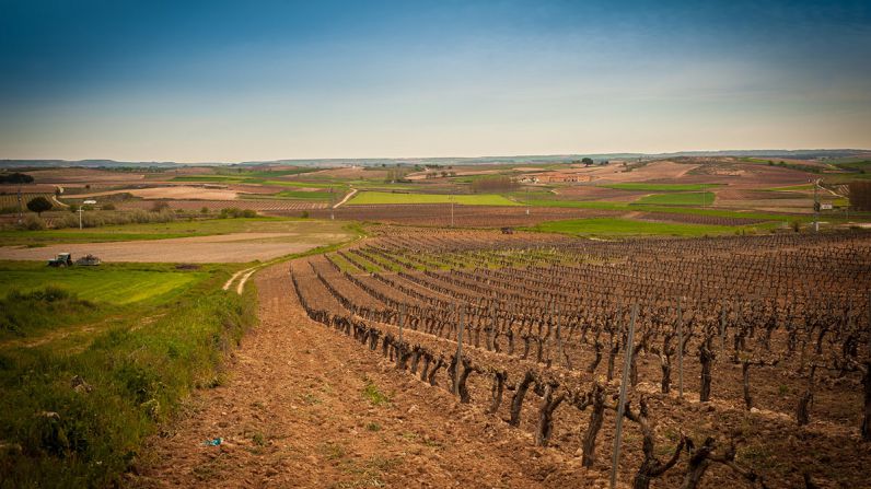 Ribera del Duero, destino elegido por "The New York Times" para visitar en 2018