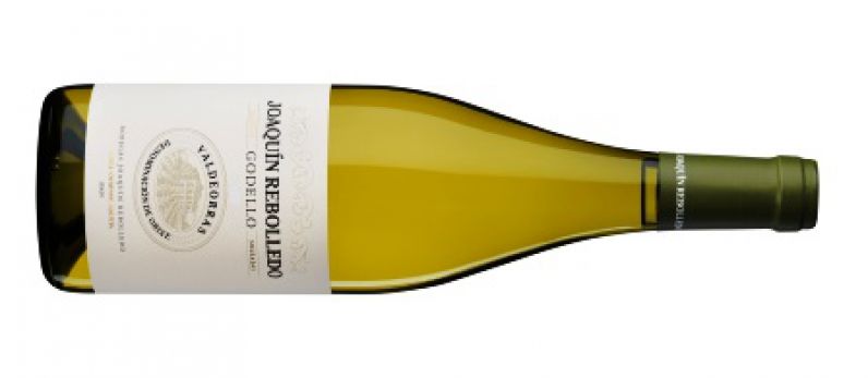 Joaquín Rebolledo Godello 2025: Premio al Mejor Vino Godello y Gran Baco de Oro de la Unión Española de Catadores.