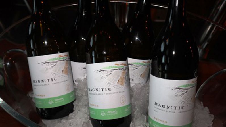 Familia Torres y Walraven Sax lanzan un vino en botella reutilizable y en barril en los Países Bajos.