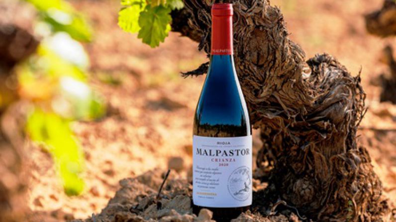 Malpastor 2020, el nuevo Rioja que muestra la tipicidad de la tempranillo de la Sonsierra.