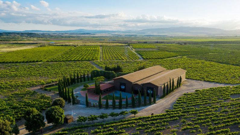 Heraclio Alfaro Finca Estarijo 2017 recibe el premio especial de España en el Concurso de Burdeos Citadelles du Vin