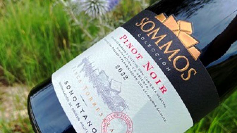 SOMMOS Colección Pinot Noir 2022, un vino tinto ideal para el verano