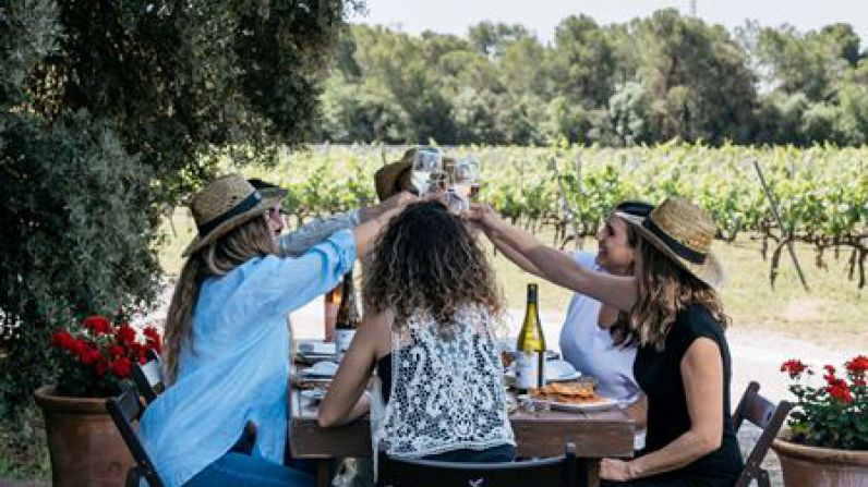 Familia Torres celebra la vendimia con una jornada enogastronómica y experiencial en el Penedès.