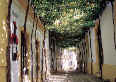 La calle Ciegos, en Jerez de la Frontera, es propiedad de la bodega González Byass