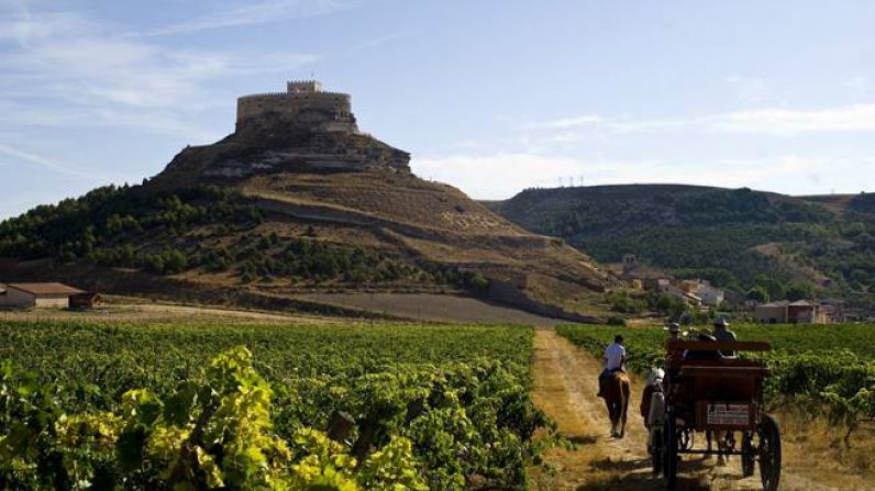Entre castillos y paisajes de viñedos en la ruta del vino Ribera del Duero.