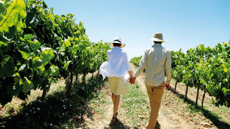 VíVID, el festival del vino del Empordà, recibe la primavera en la Costa Brava