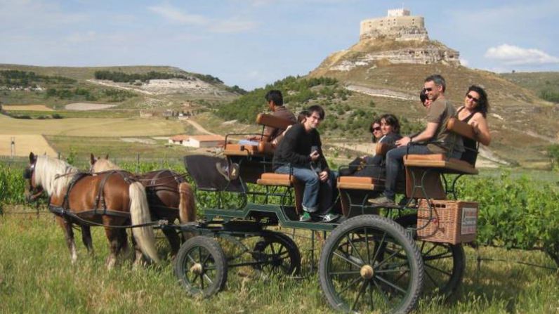 La Ruta del Vino Ribera del Duero celebra el día Europeo del Enoturismo