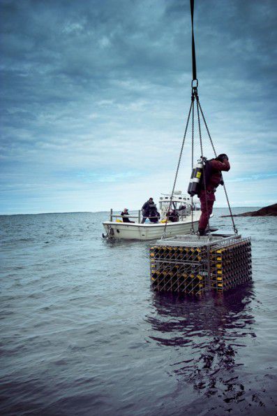 Un equipo de inmersión a punto de bajar botellas de Veuve Clicquot al fondo del mar