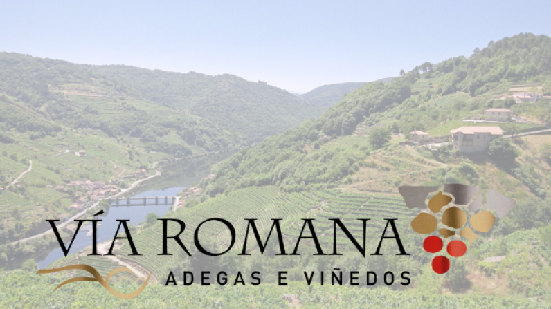 V&iacute;a Romana, mejor destino enotur&iacute;stico gallego seg&uacute;n la gu&iacute;a de Tim Atkin por Beth Willard