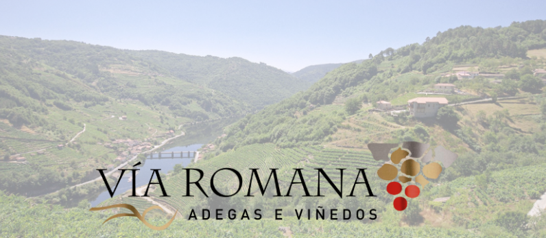 Vía Romana, mejor destino enoturístico gallego según la guía de Tim Atkin por Beth Willard