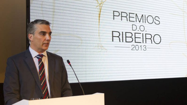 PREMIOS D.O. RIBEIRO 2013