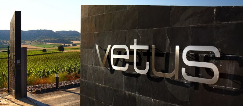 Flor de Vetus 2017, verdejo de altura.