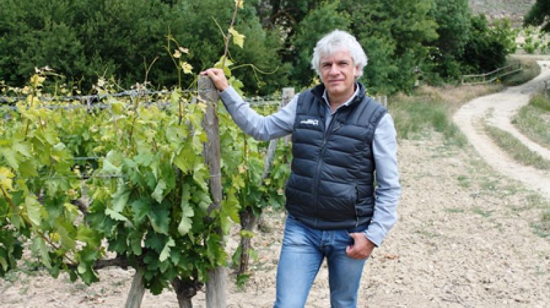 David González, nuevo director de enología y viticultura de Viña Salceda, Gran Feudo y Chivite.