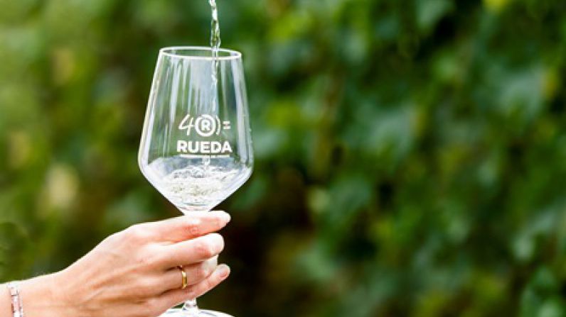Finaliza la 40º vendimia de la D.O. Rueda con grandes expectativas en la calidad de los vinos.
