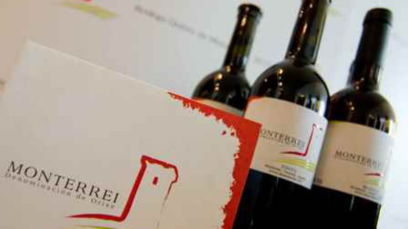 Un total de 27 vinos de la D.O. Monterrei superan los 90 puntos en la Guía Peñín 2021